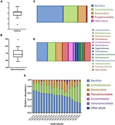 Dietary xenobiotics, (poly)phenols and fibers: Exploring associations with gut microbiota in socially vulnerable individuals